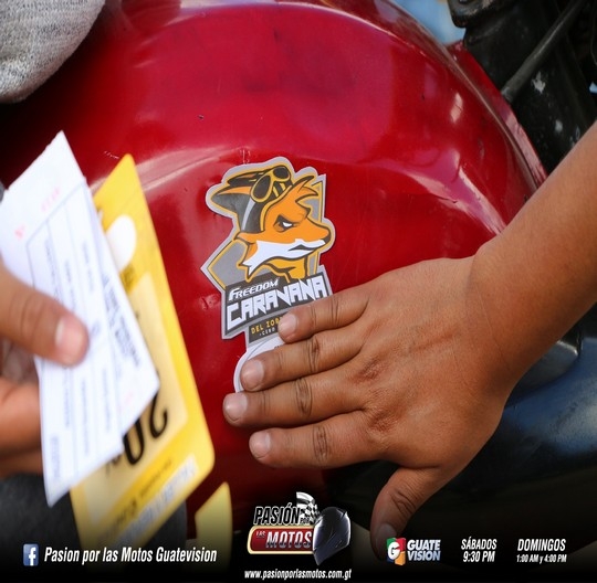 FREEDOM PREPAR&Oacute; A LOS ZORROS PEREGRINOS